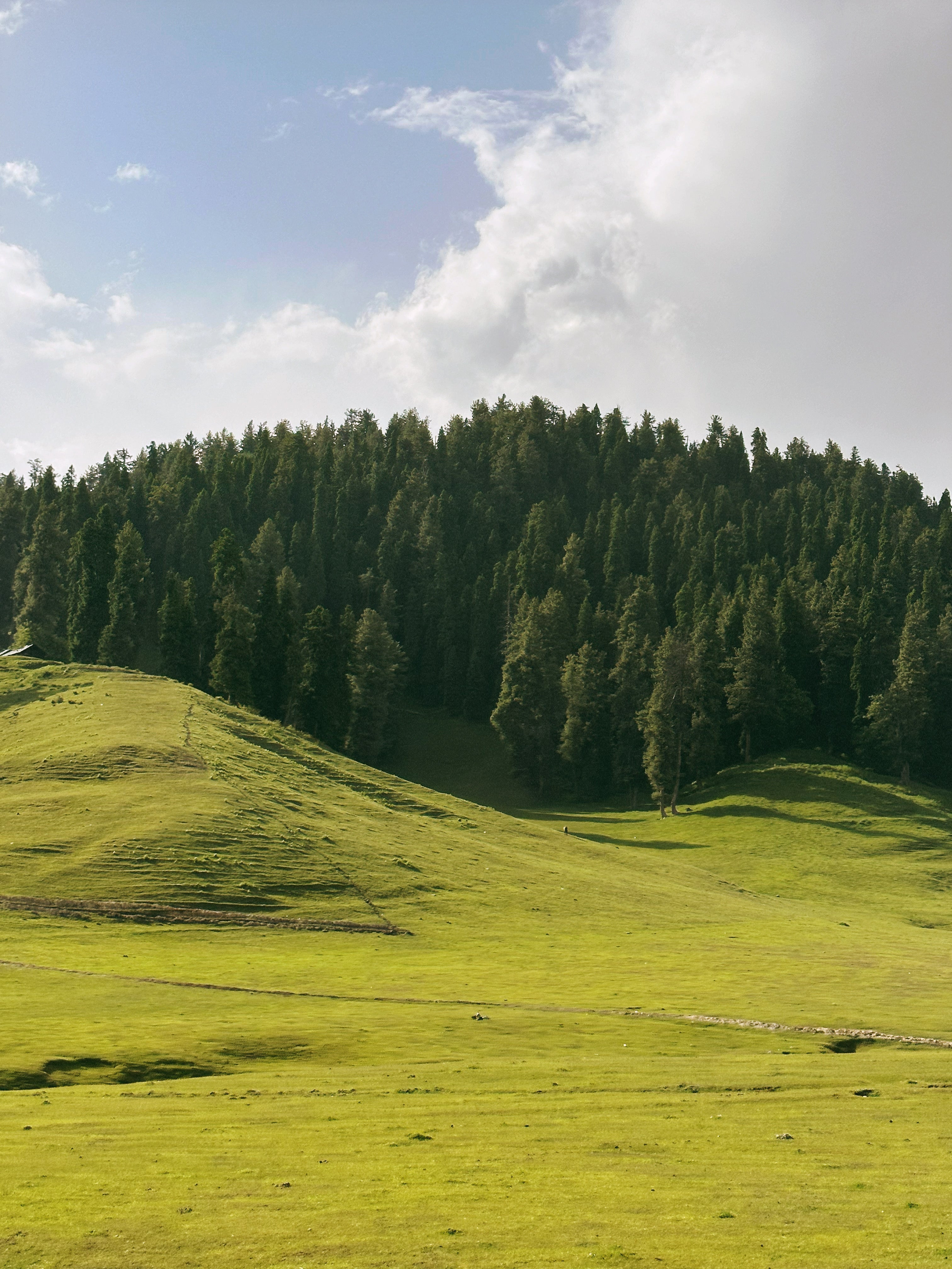 Wave in kashmir.