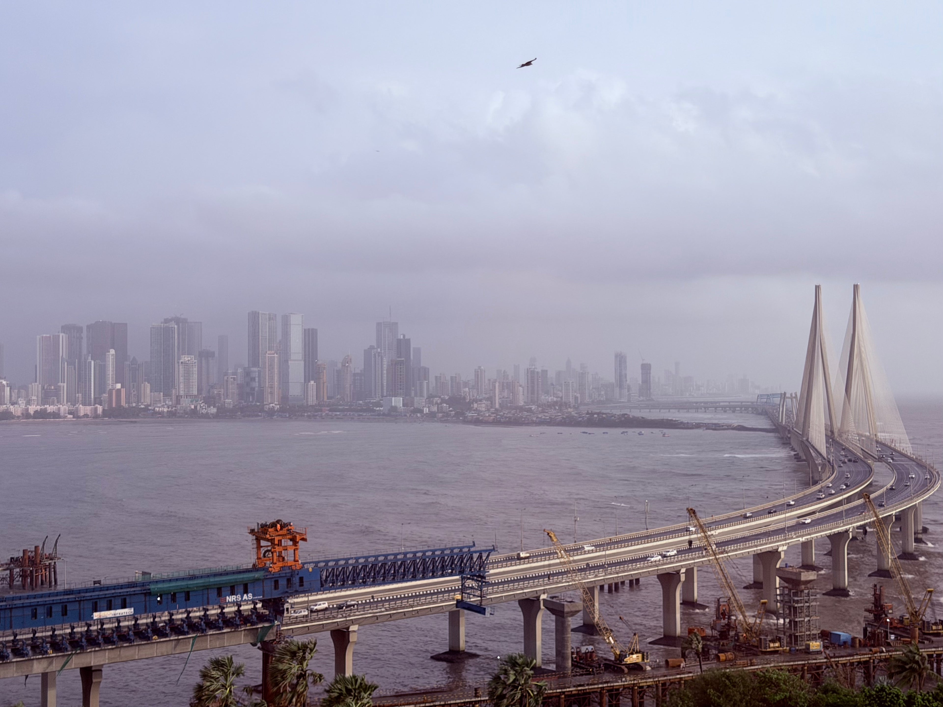 Bombay - Caught between finished and unfinished.