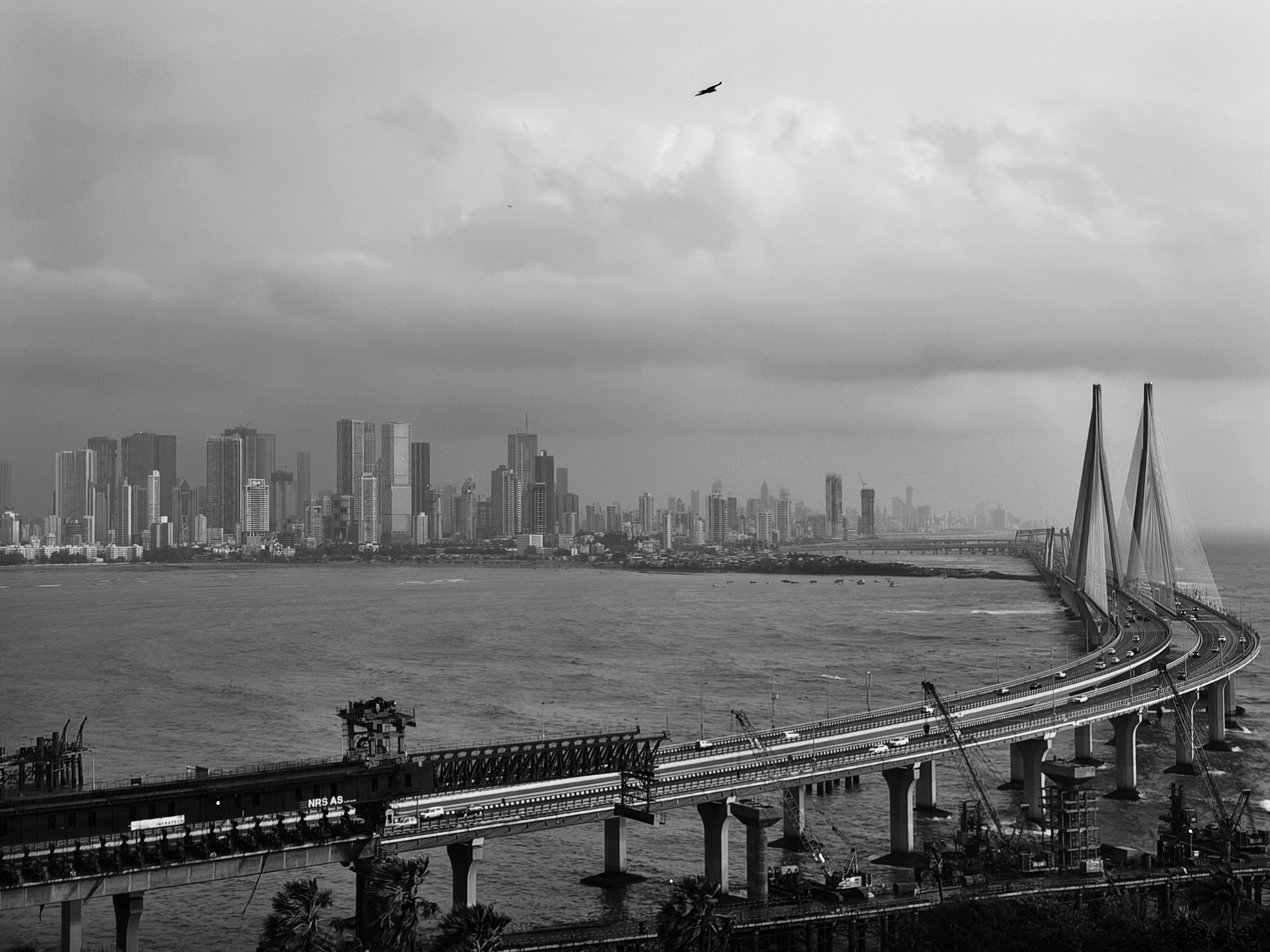 bombay in horizontal